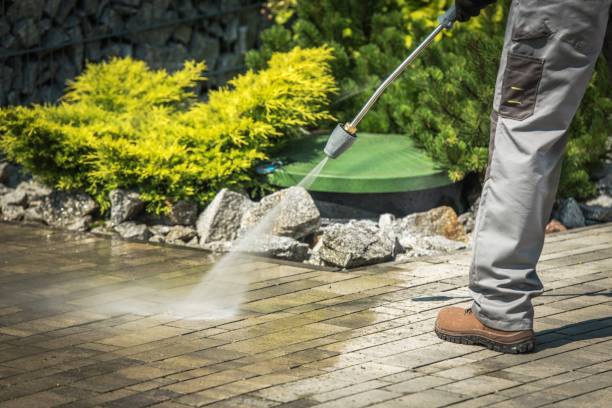 Best Sidewalk and Walkway Cleaning  in Cedar Grove, WI